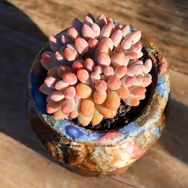 谜语吸引力，十个指头春秋飞，提更高望更远