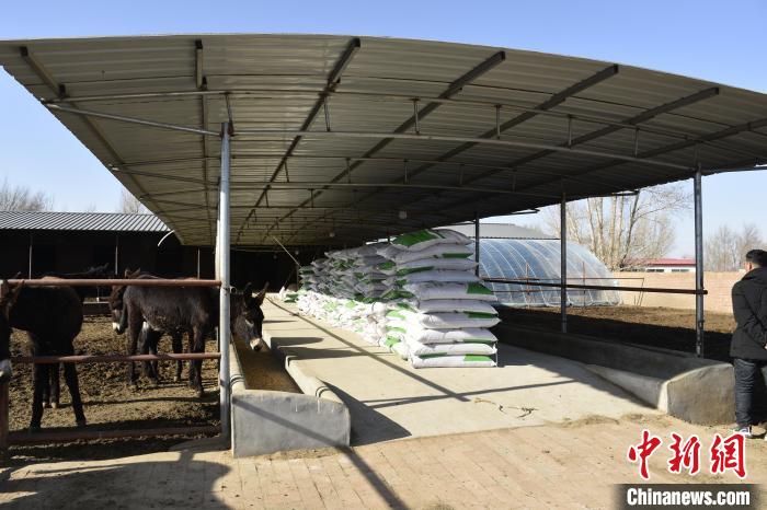 谜语类型:猪棚鸡棚半六九相伴三车轻郎马聪伴六三九中