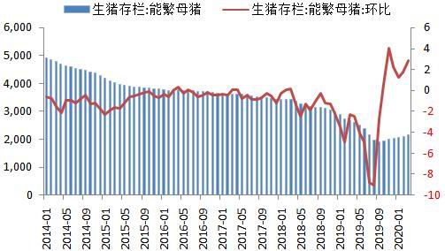 理性看待新奥门特一肖预测，数据背后的真相与投资警示