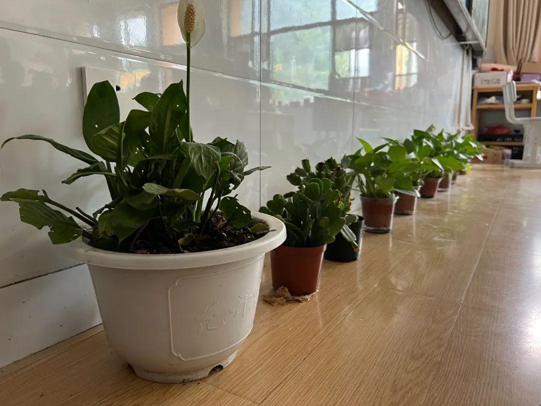 新澳门2026，9点30分动态背后的城市进化密码与未来图景