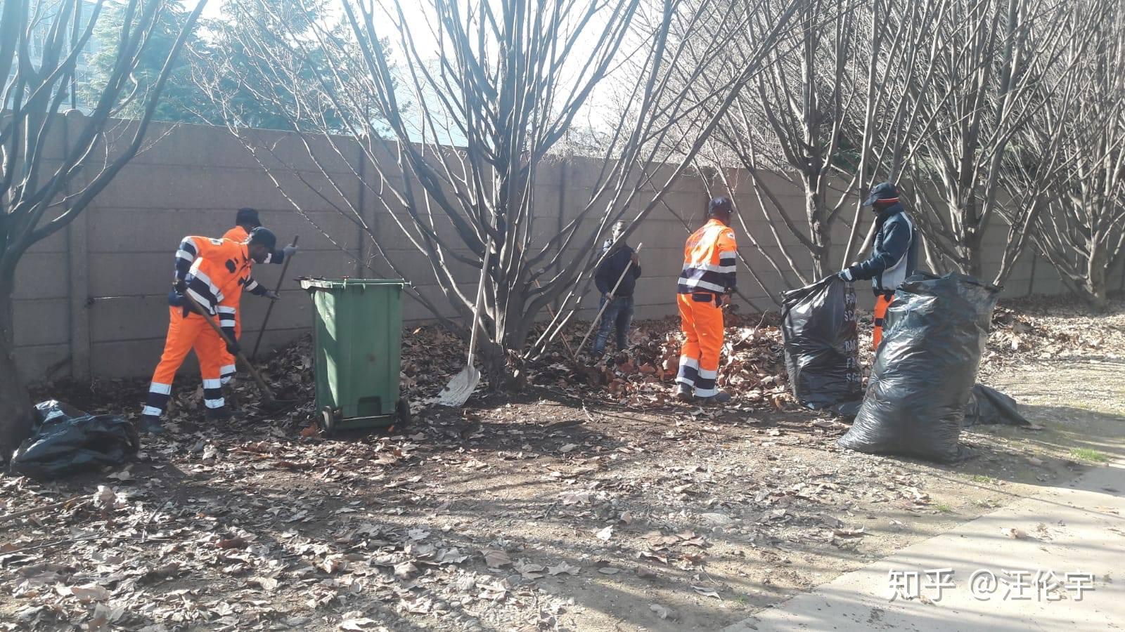 灯谜，背負重擔頂天踵地问梢头冷蕊疏疏