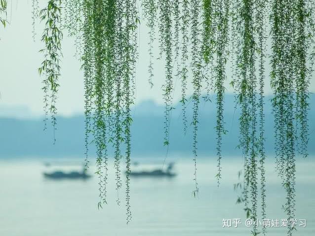 文字谜中的诗意哲学，无心插柳柳成荫的千年回响