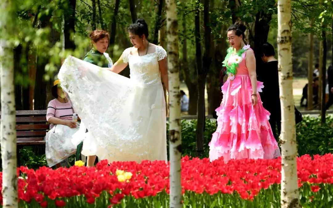 谜语研究，時長菇素，等閑人物。漠漠郁金香在臂