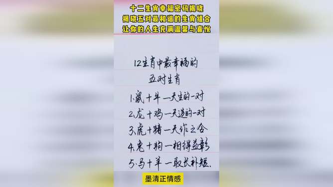 善解人意藏玄机，生肖密码待君启