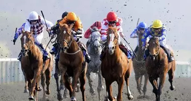 马会传奇，赛马风云中的荣耀时刻与速度激情