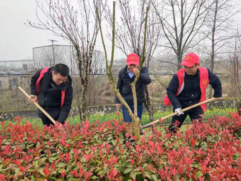 谜语娱乐，解读今期马虎牛出特，春风豆营抽新绿