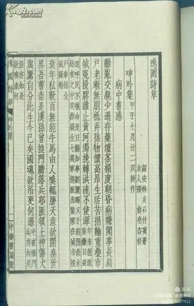 诗谜解析，探寻常见之物是猪狗，马带龙跑蛇缠身的文学奥秘