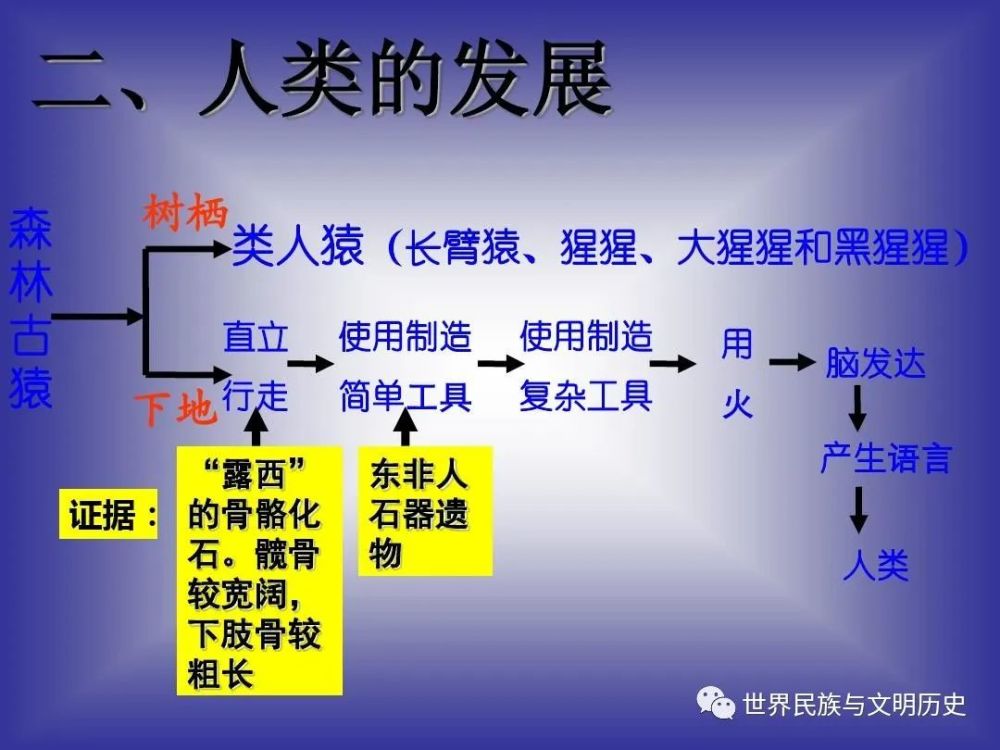 牛羊对冲中的生态智慧与经济哲学
