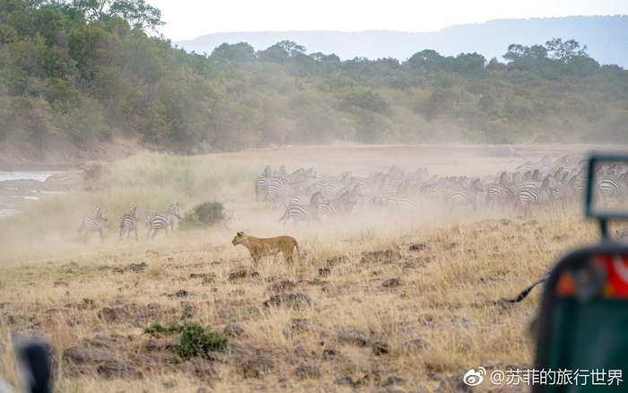 暗语，适者生存—文学教育视角下的生存智慧与文学表达