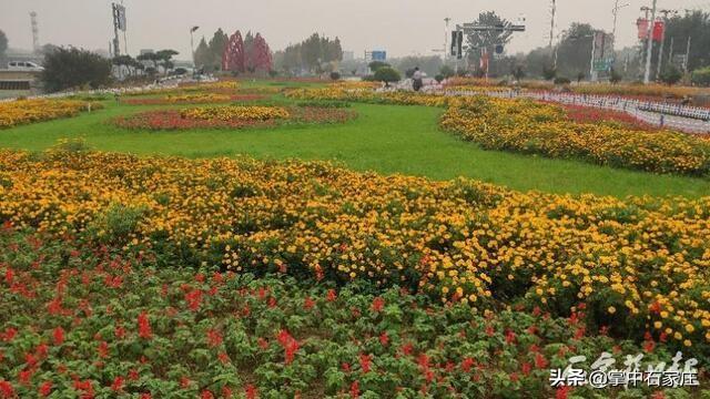 谜语社交，十八姑娘一朵花，五颜六色景如画