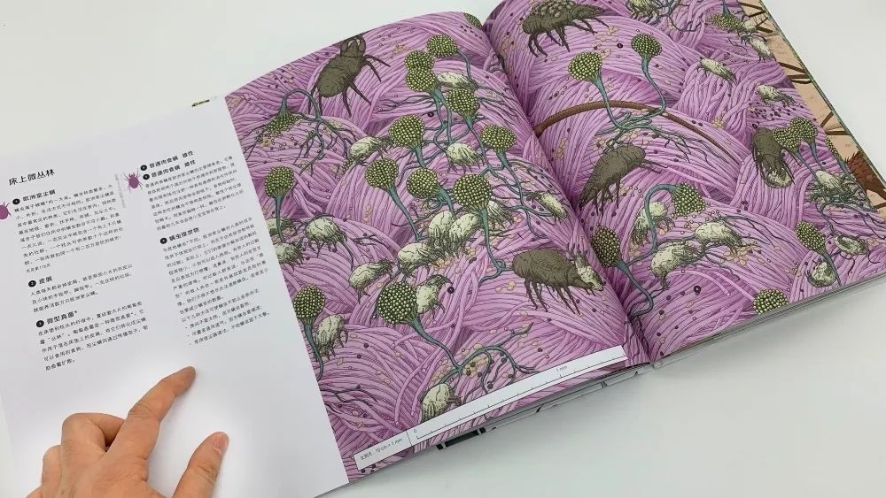 谜语吸引力,探索欲钱看浓妆艳林的文学奥秘 谜语吸引力,探索欲钱看浓妆艳林的文学奥秘