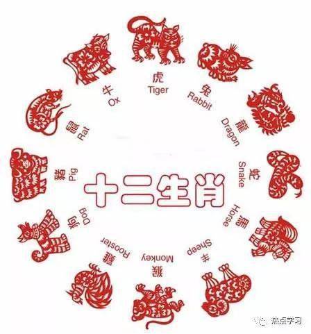 解码生肖密码，从三二父开二五件中探寻精准生肖的智慧之旅