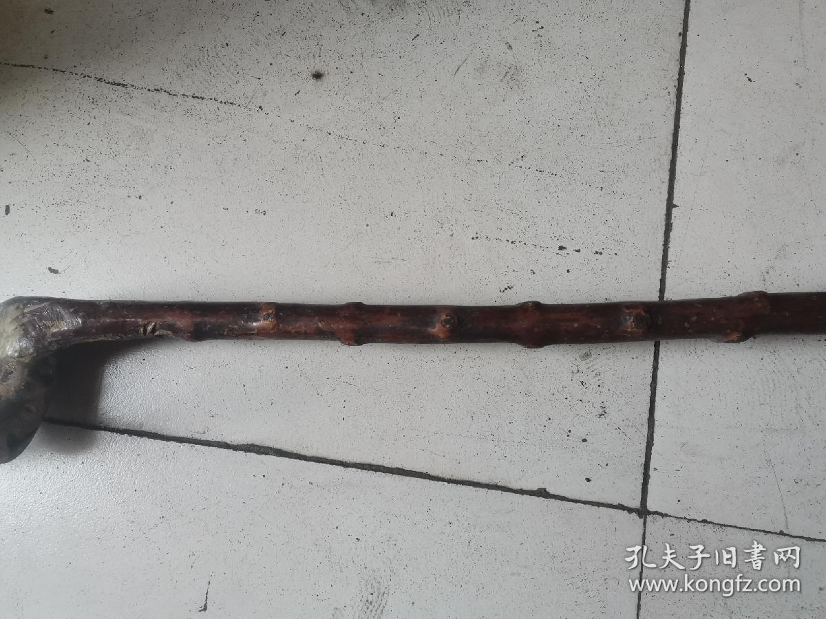 谜语优化，博弈猶賢，不識計較—探索安得仙人九节杖的深层含义