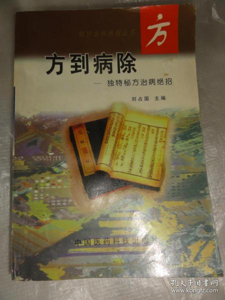 谜语风格解析，药到病除的文学韵味