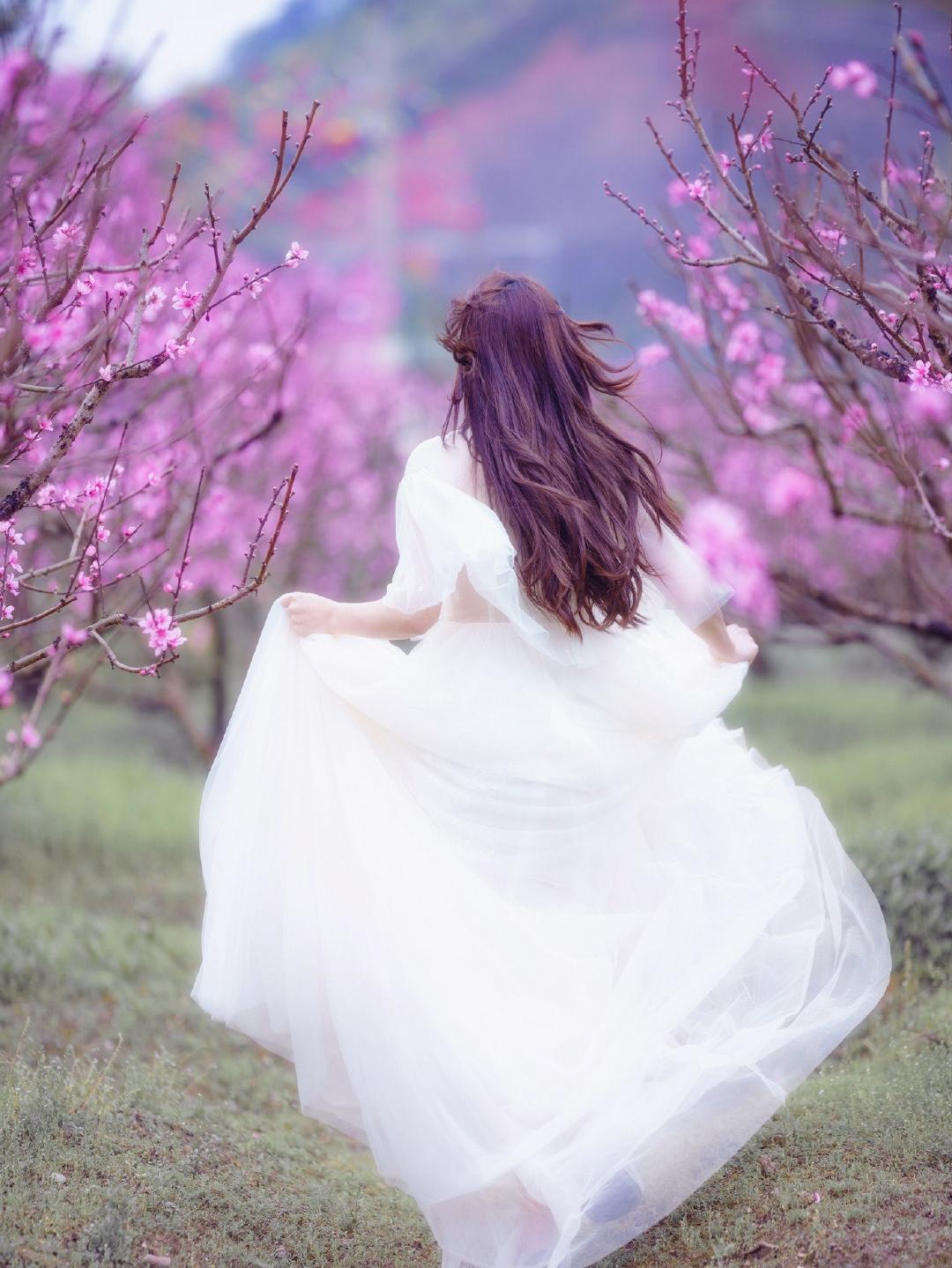 谜语潮流，孤灯依旧—探索文学中的隐喻与象征