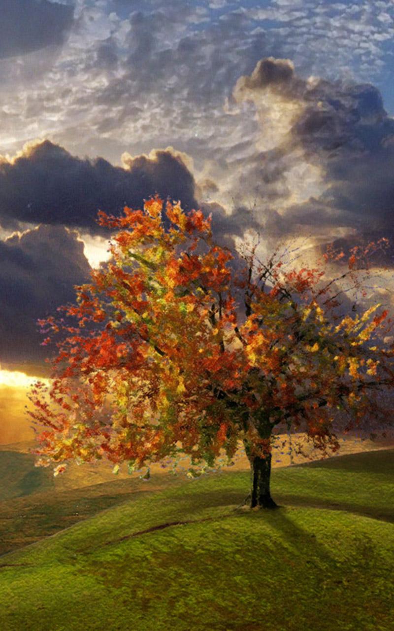 蘭月亮中特，精选优质产品+超值优惠+限时狂欢，三重惊喜引爆消费热潮！