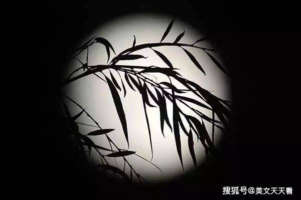 疏梅横斜水清浅，瘦竹低垂月未央，谜语背后的文学影响与审美意蕴