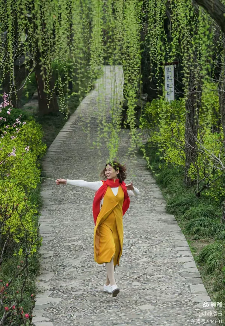 谜语工作坊，解读今期马虎牛出特，春风豆营抽新绿