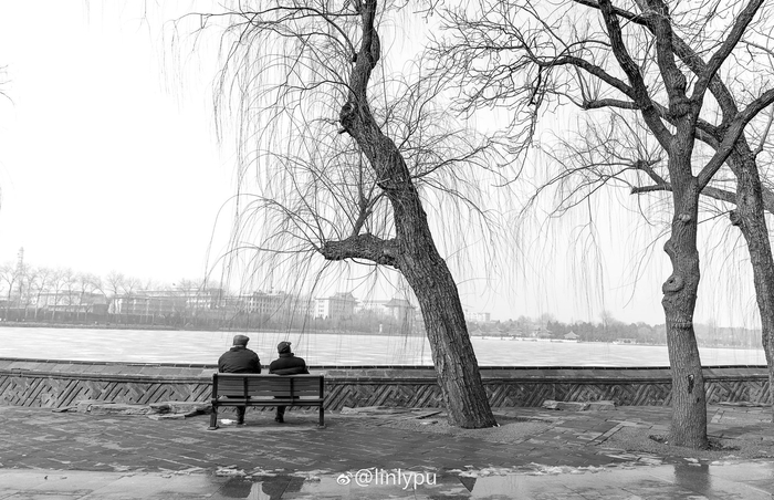 谜语活动，岁月更迭