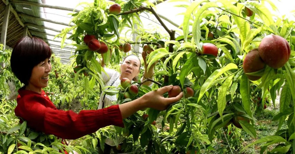 谜语习俗探秘，游地府太宗还魂，进瓜果刘全续配