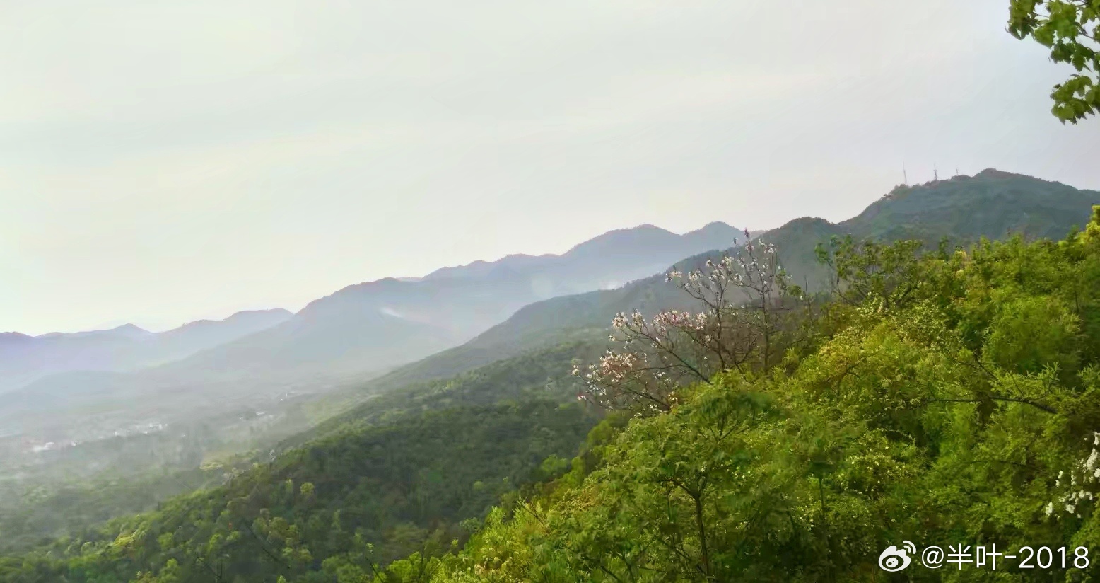 谜语发展，上下一心，相互包容，见说山傍，偏出将