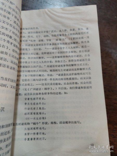 谜语理论，解析鼠钻牛角的深层含义与文学启示