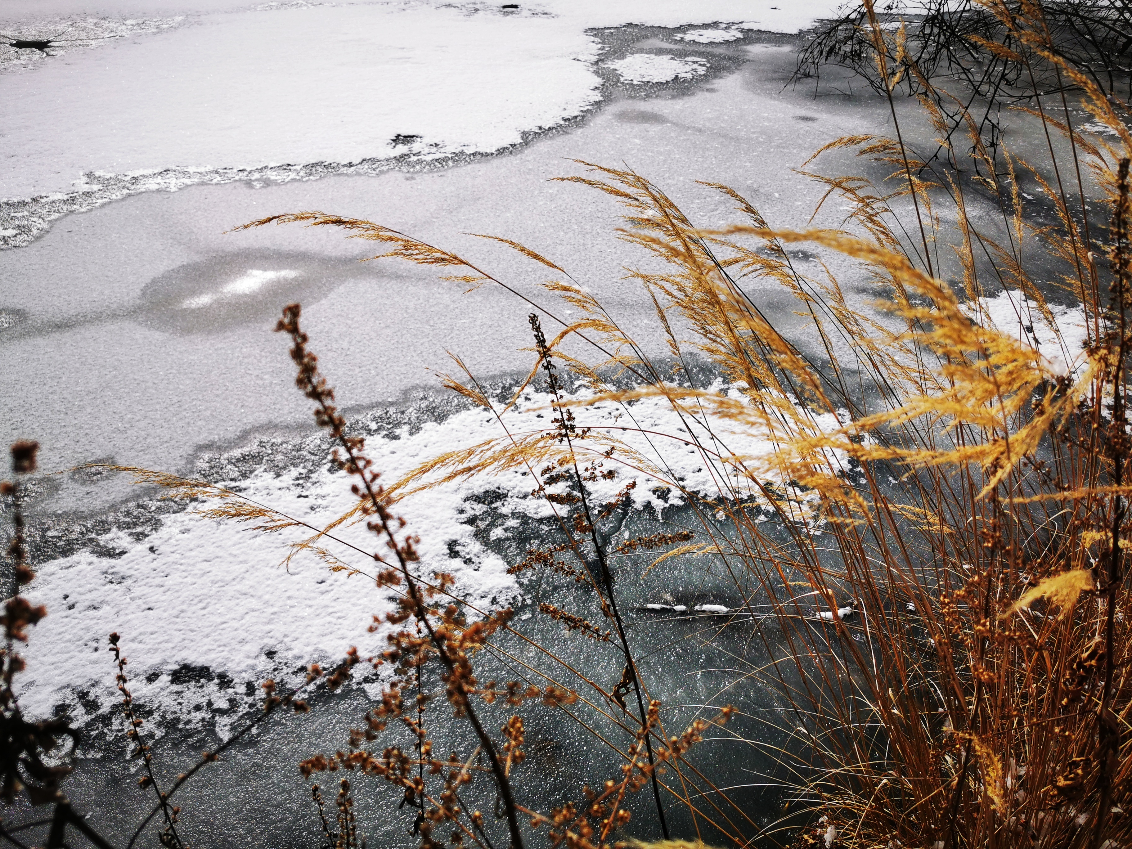 谜题，一心成仙浮晓日 碧水凝冰映暖阳
