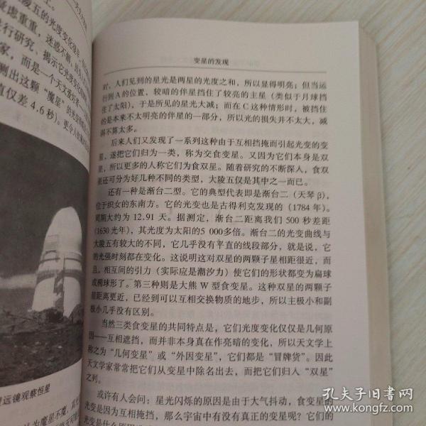 灯谜解析，欲钱买冰冻三尺的动物—谜底揭秘与文学赏析