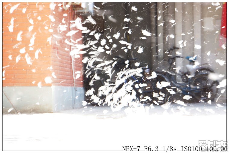 飞絮谜题中的生肖密码，一场跨越千年的文化解码-三五飞絮沾衣裳 猜一精准生肖