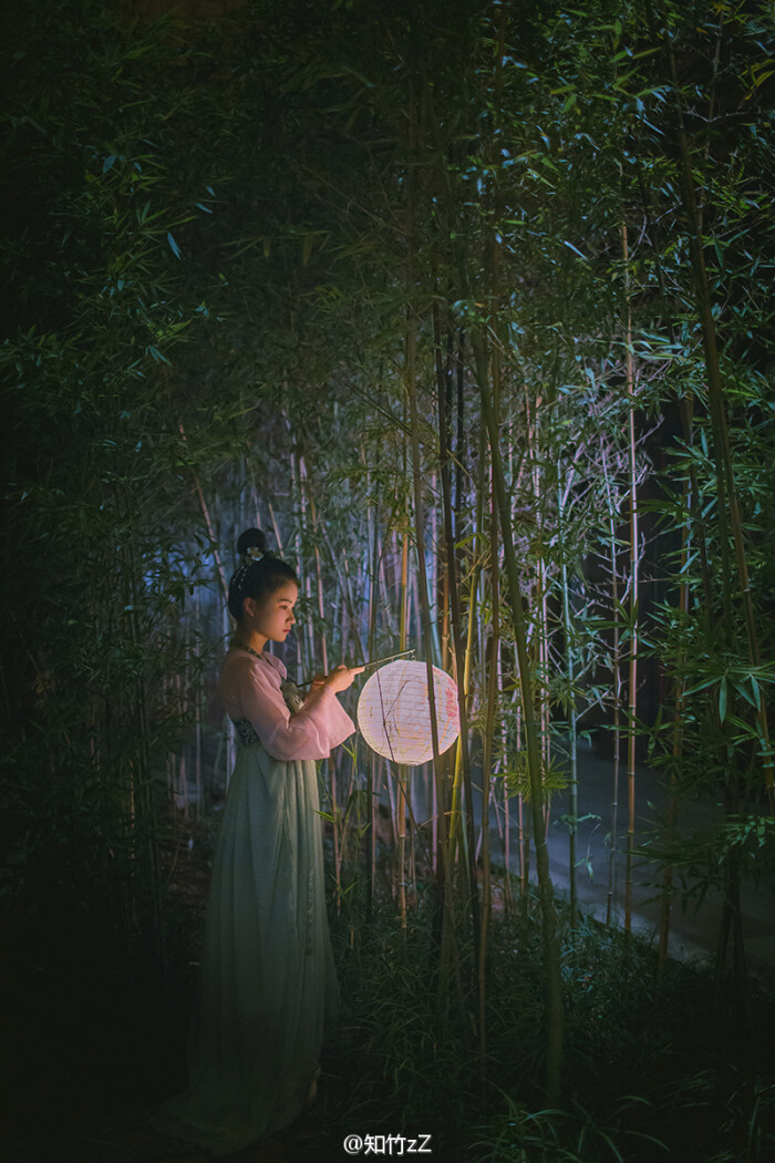 谜语解密，疏梅横斜水清浅，瘦竹低垂月未央