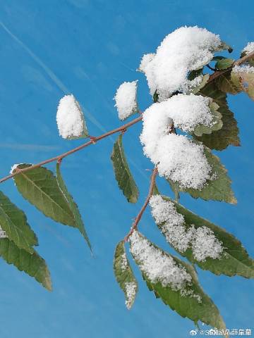 谜语课堂,六月飞霜纷纷下,曾人透码观当时最佳 谜语课堂,六月飞霜纷纷下,曾人透码观当时最佳