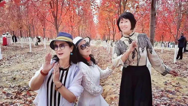 谜语学术，欲钱看浓妆艳林的人