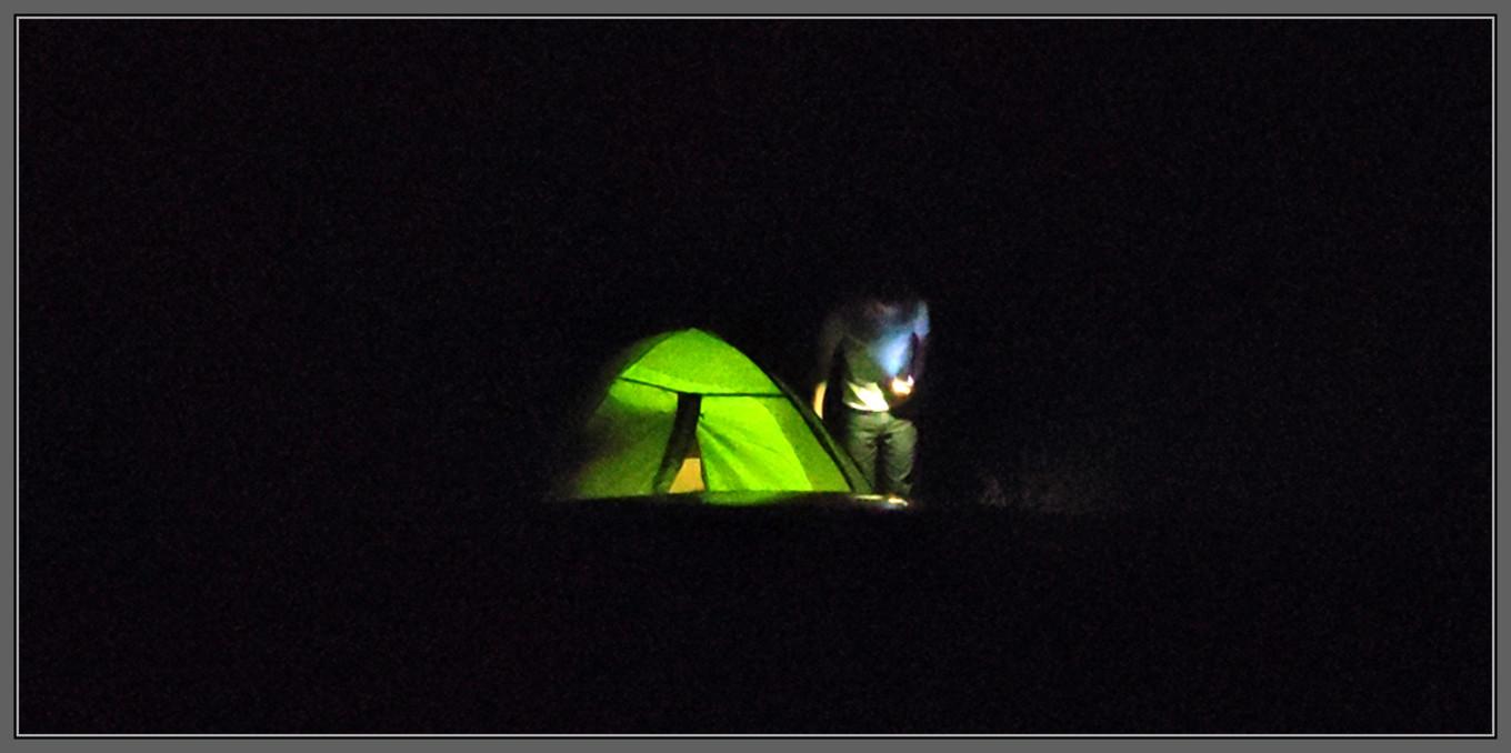 谜面:欲钱买冰冻三尺的动物打一个准确的