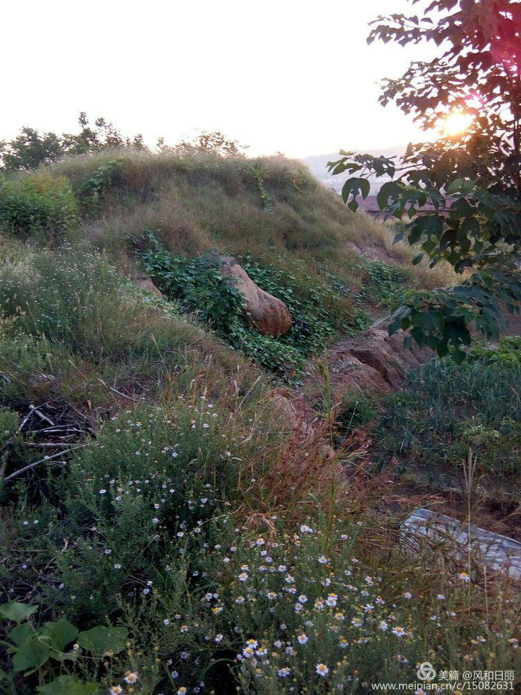 谜语社交，十八姑娘一朵花，五颜六色景如画