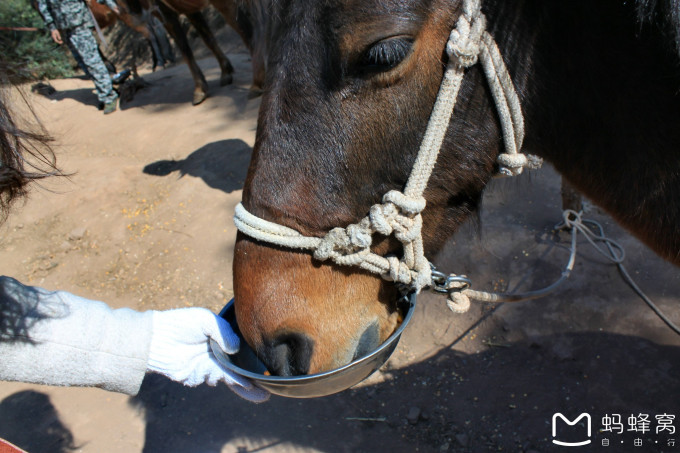 推理谜，西天取经阴重重，牛来做媒牵红线