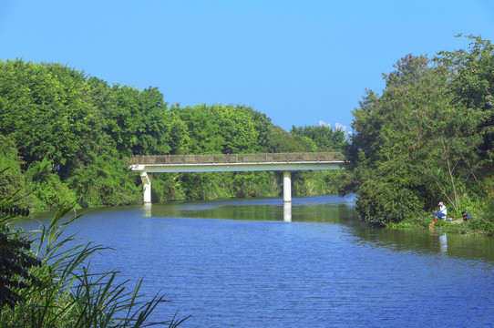 谜语研讨会，解析红英初绽倚春山，蓝溪绕岸水潺潺