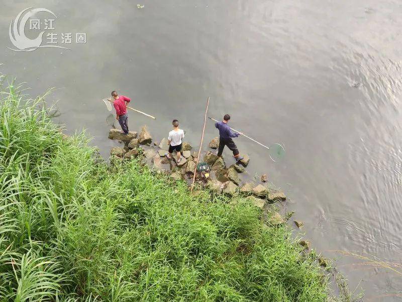 谜语体验，小童垂钓在湖边，珠字二三势最劲