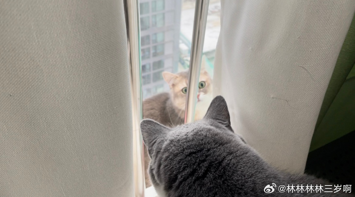 谜语类型解析，欲钱看对着窗户吹刺叭