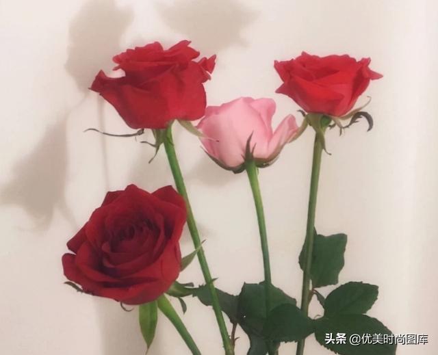 谜语问答，地穴坠崖巧遇，两两相思许多