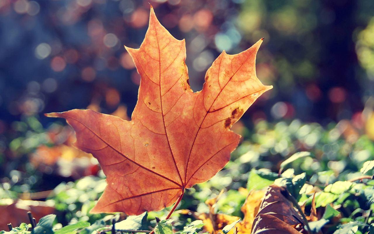 谜语流行，岁月更迭