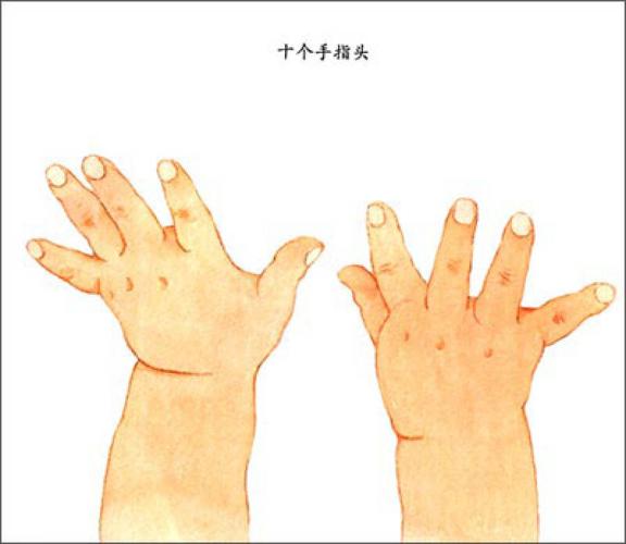 探秘十个指头之谜，穿越历史的文学与智慧之旅