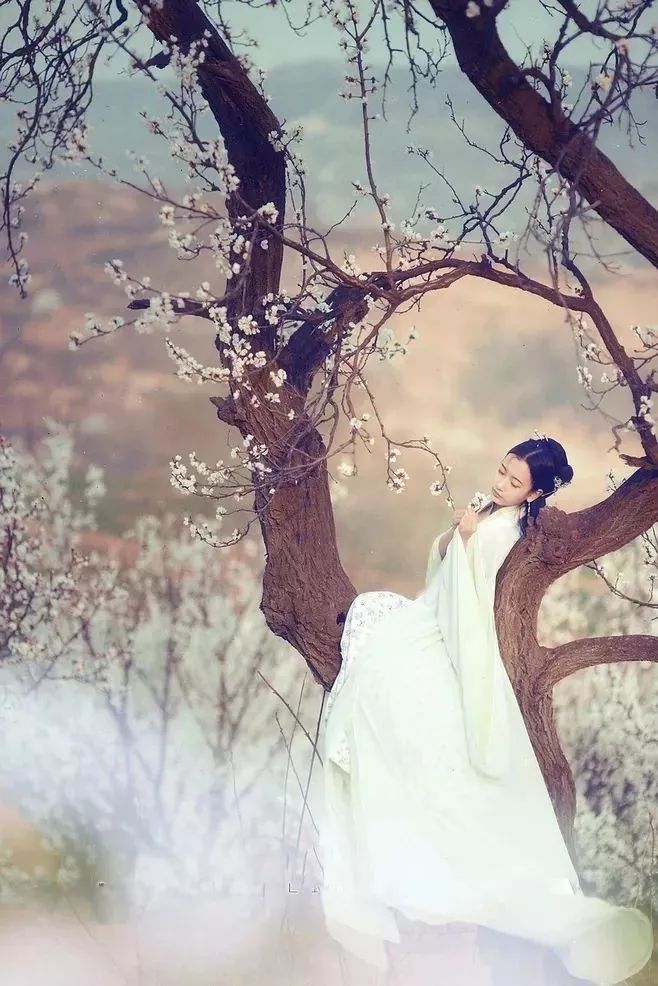 谜语习俗，地穴坠崖巧遇，两两相思许多