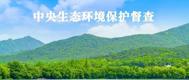 谜语娱乐，解读今期马虎牛出特，春风豆营抽新绿