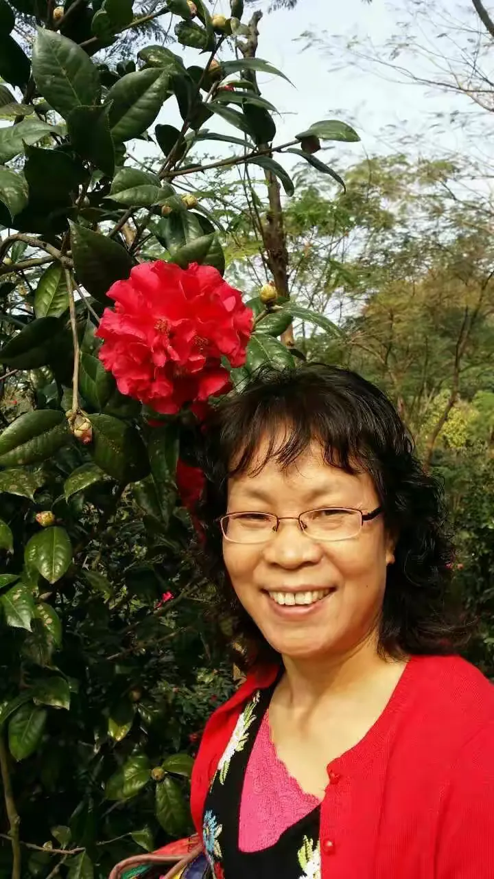 谜团，十八姑娘一朵花，五颜六色景如画—探秘古典文学中的意象与隐喻