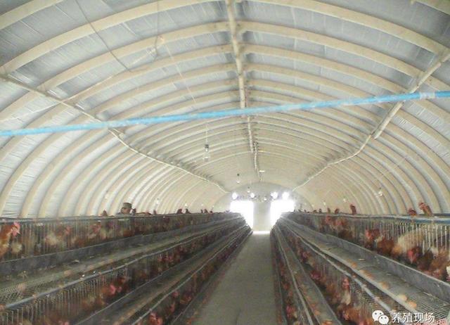 传统谜语的魅力，解析猪棚鸡棚半六九，相伴三车轻郎马聪伴六三九中