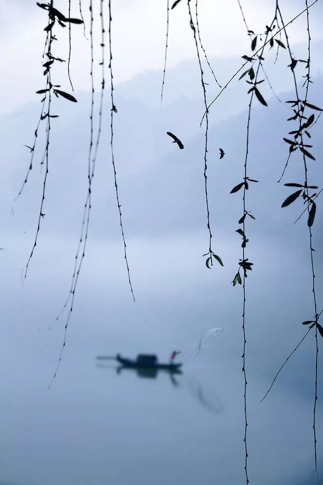 蓑草春生映孤光，生肖文化中的诗意隐喻与科学解码