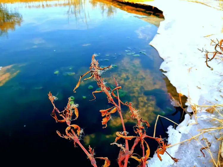 谜题，一心成仙浮晓日 碧水凝冰映暖阳