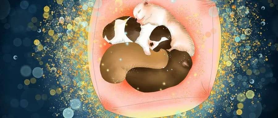 谜语实践:常见之物是猪狗，马带龙跑蛇缠身