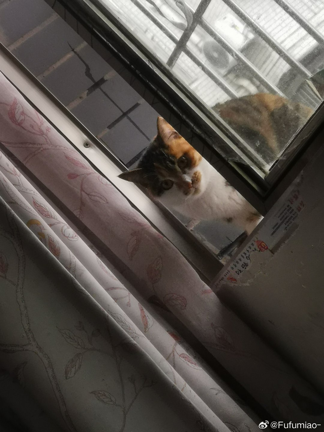 谜语智慧，欲钱看对着窗户吹刺叭