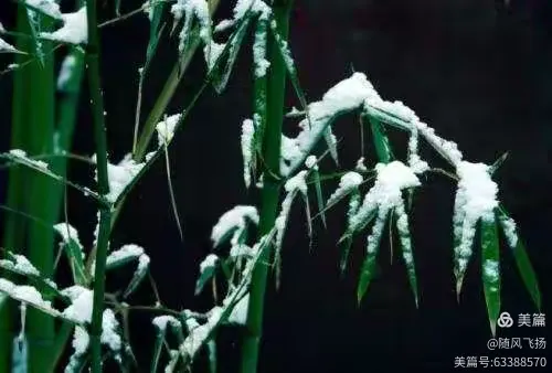 谜语课堂，六月飞霜纷纷下，曾人透码观当时最佳